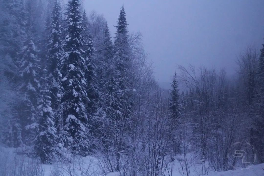 Кемеровская область