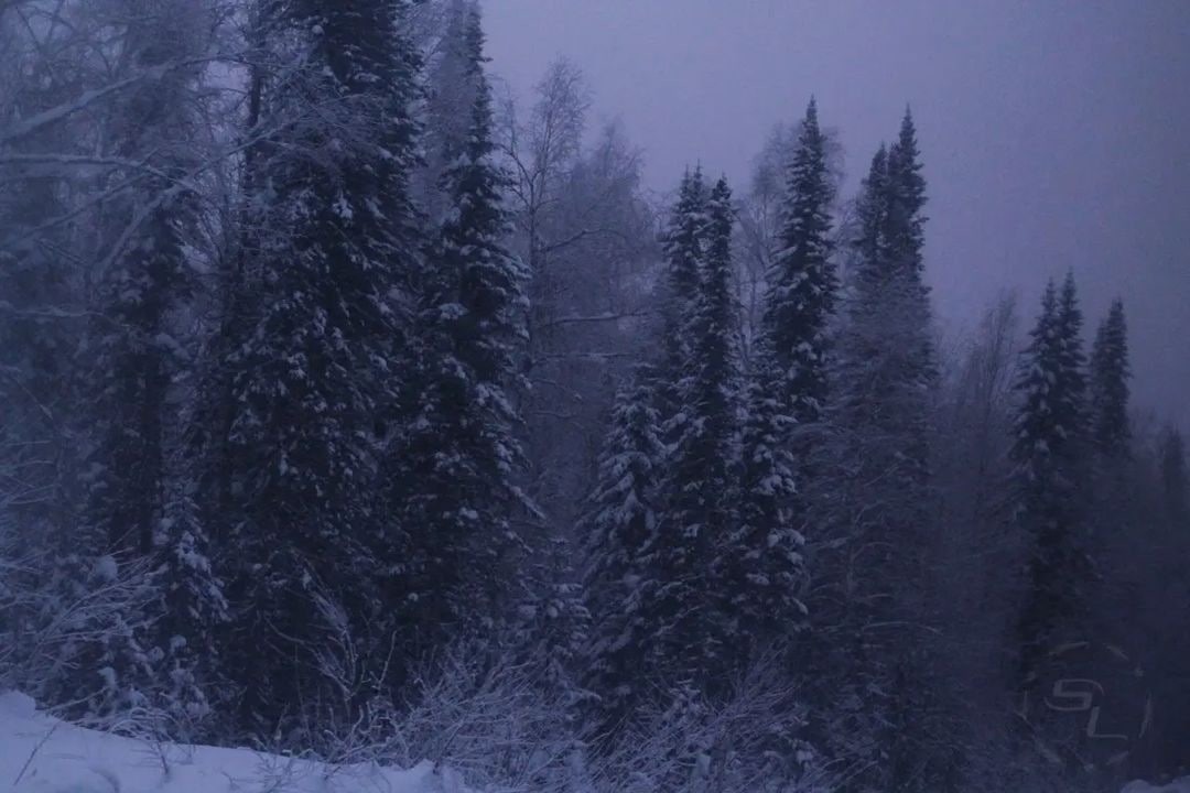 Кемеровская область