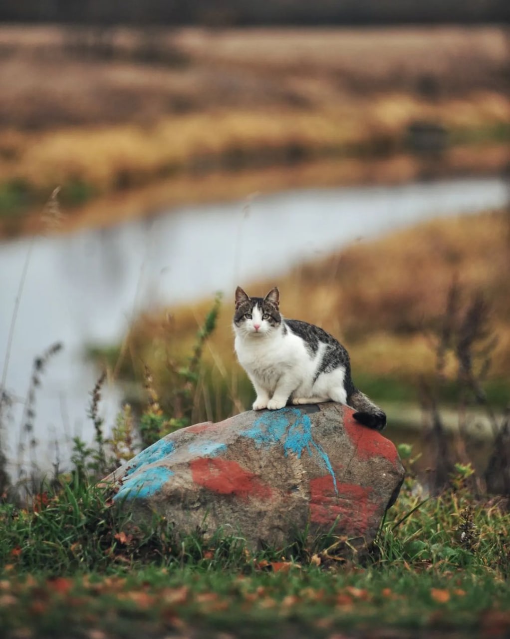 Село Дунилово