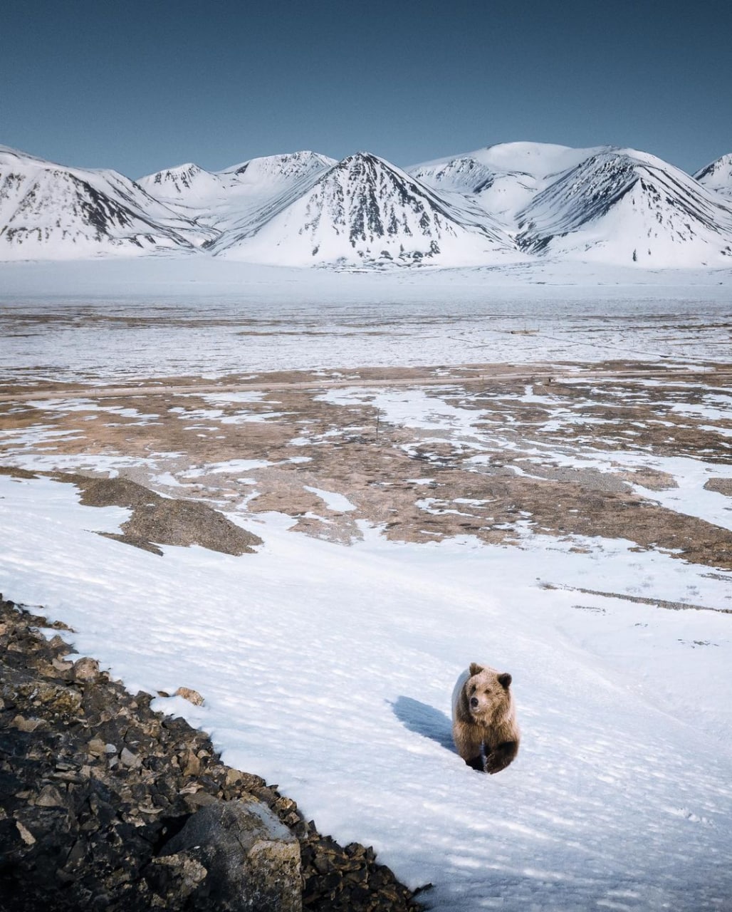 Чукотские сопки