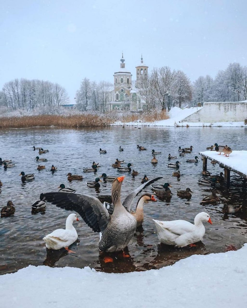 Город Торопец