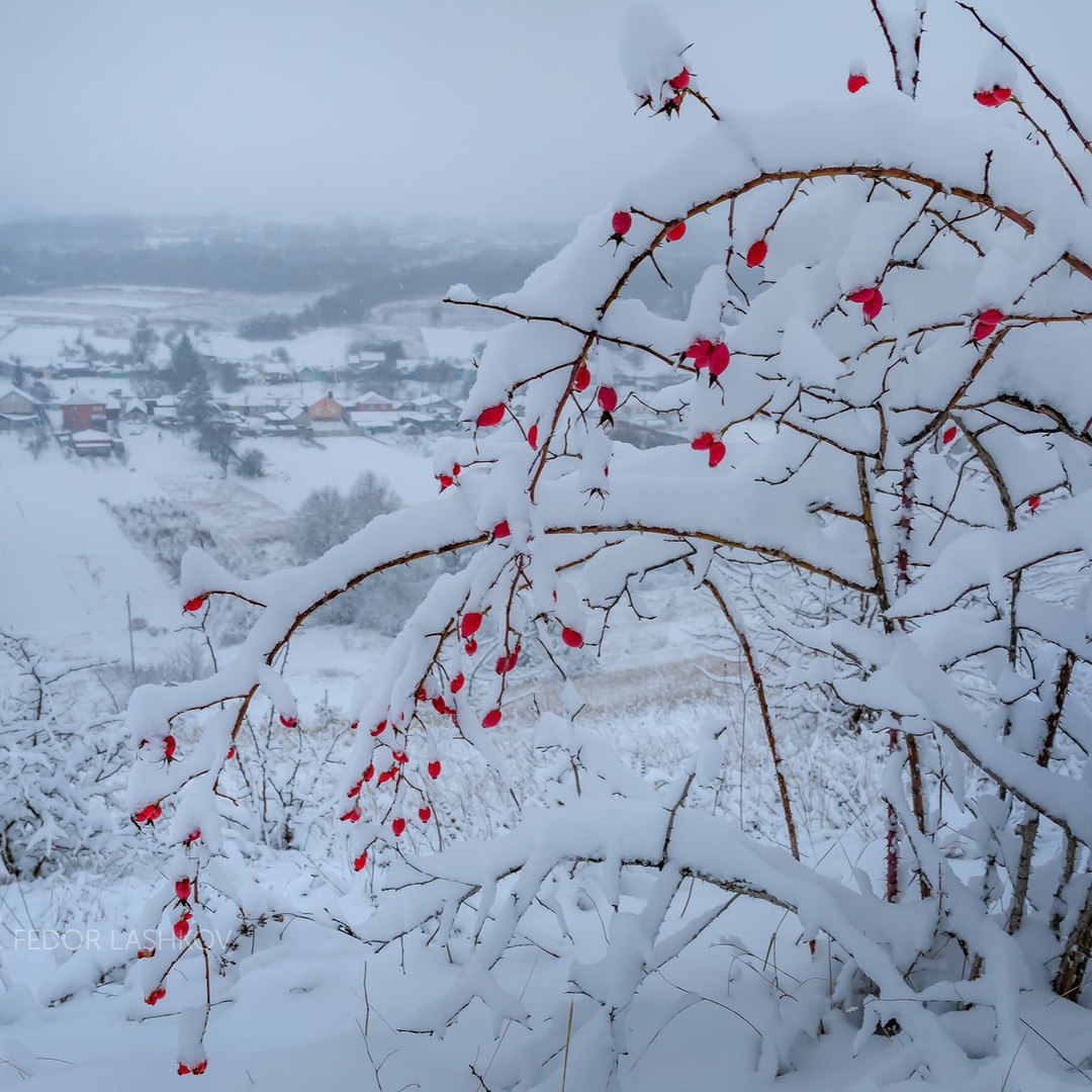 Белгородская область