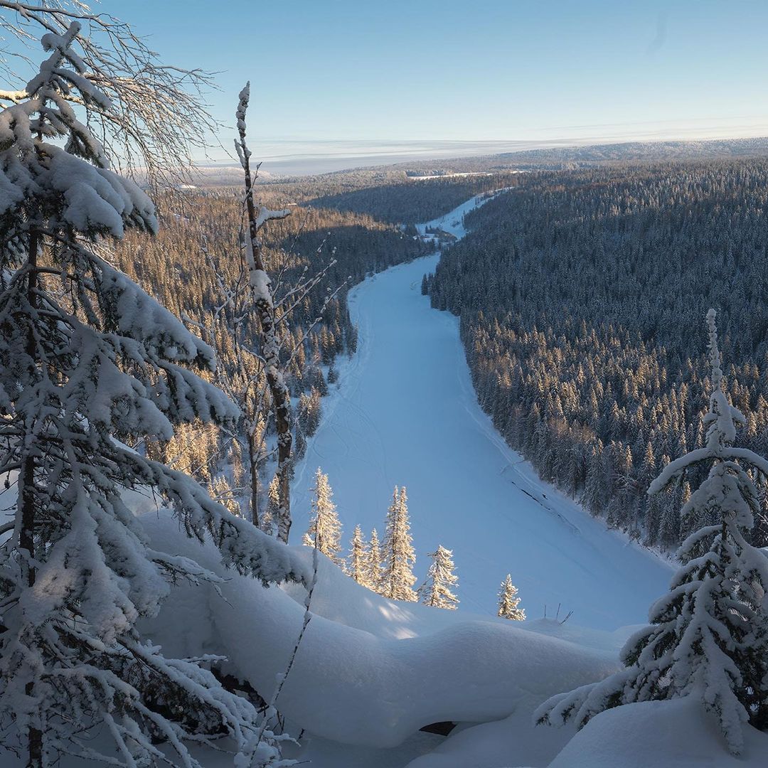 Вепсский лес