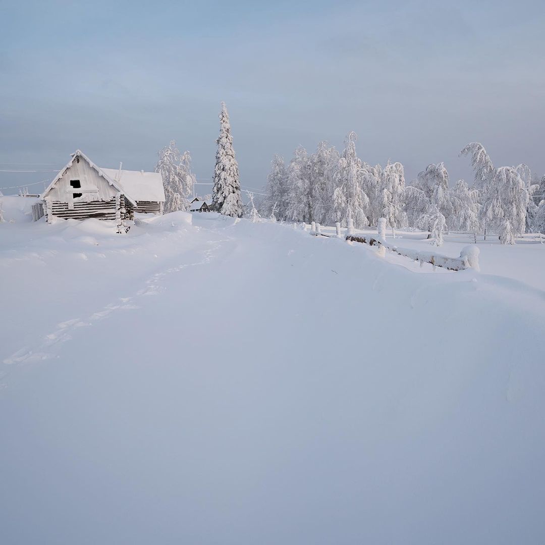 Вепсский лес