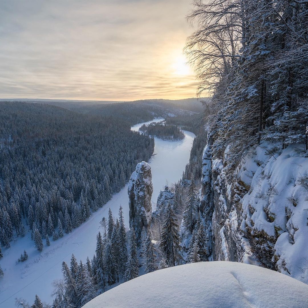 Вепсский лес