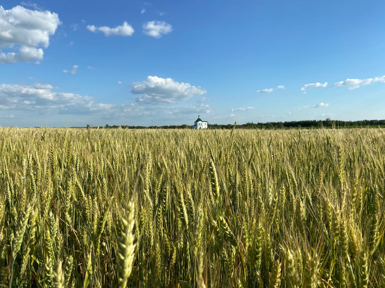 Урочище Воронцовка
