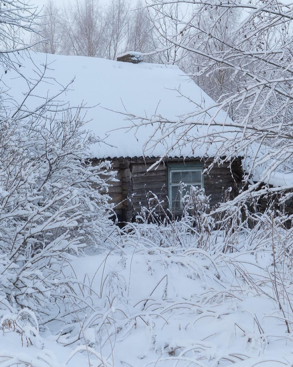 Деревни Новгородской области