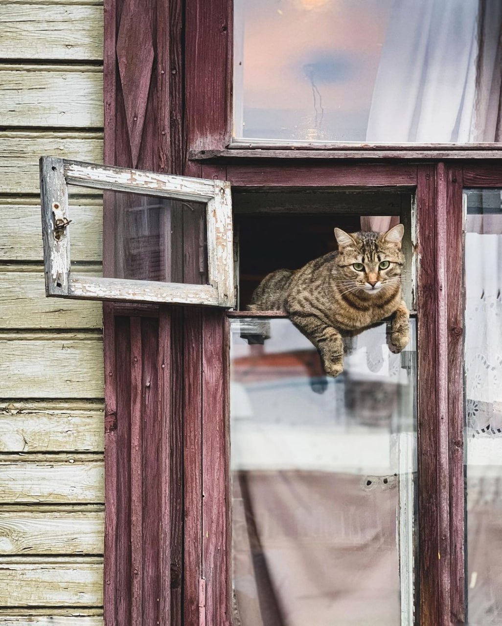 Плотничный переулок