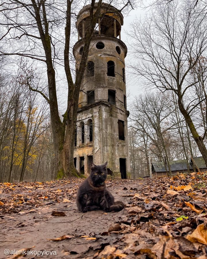 Усадьба Старые Липы