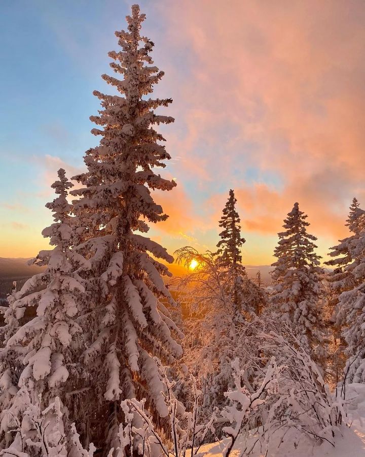 Александровская сопка