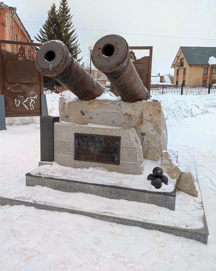 Город Бийск