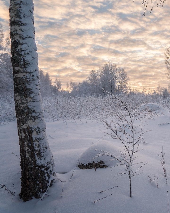 Новгородская область