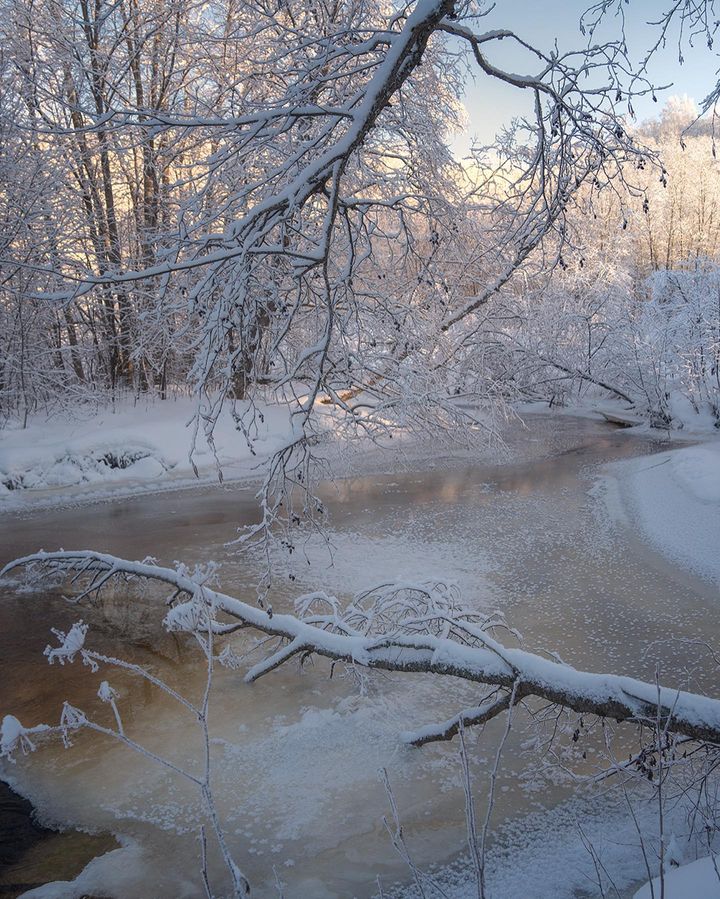 Новгородская область