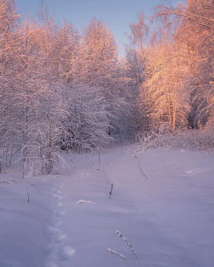 Новгородская область