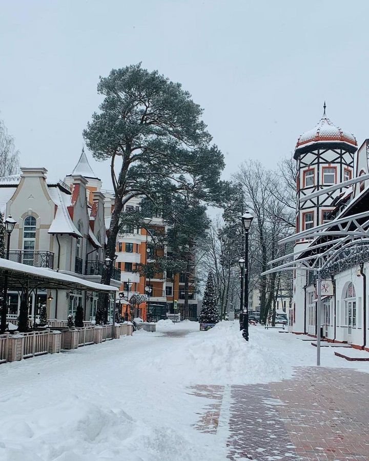 Город Светлогорск