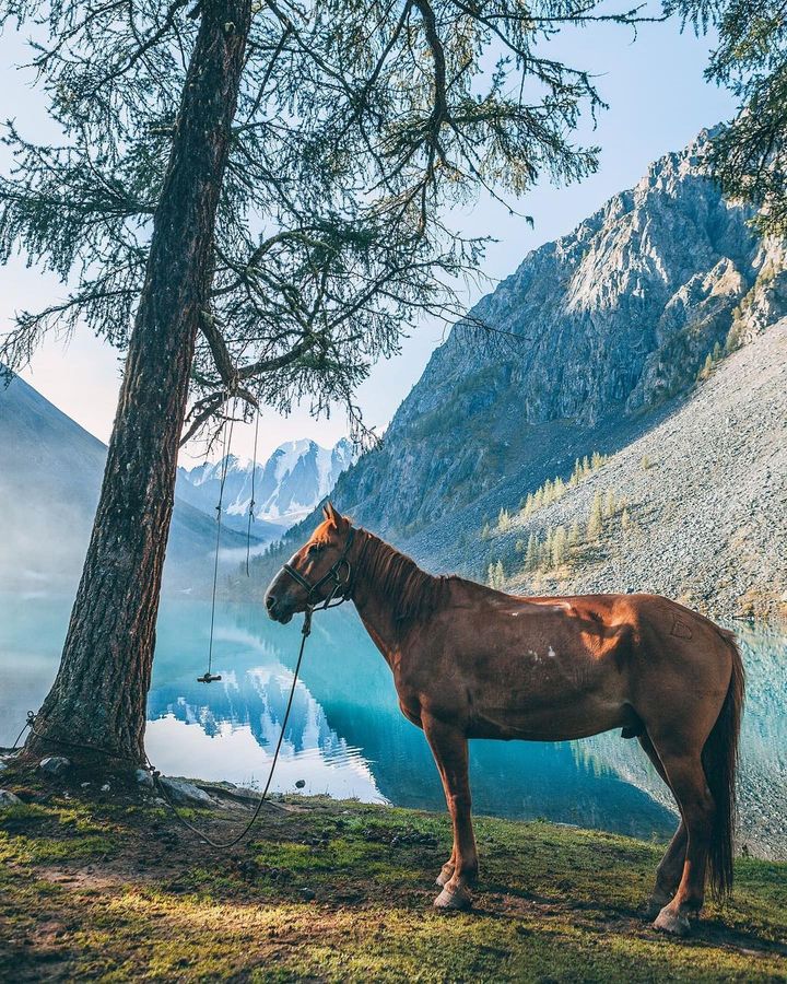 Горы Алтая
