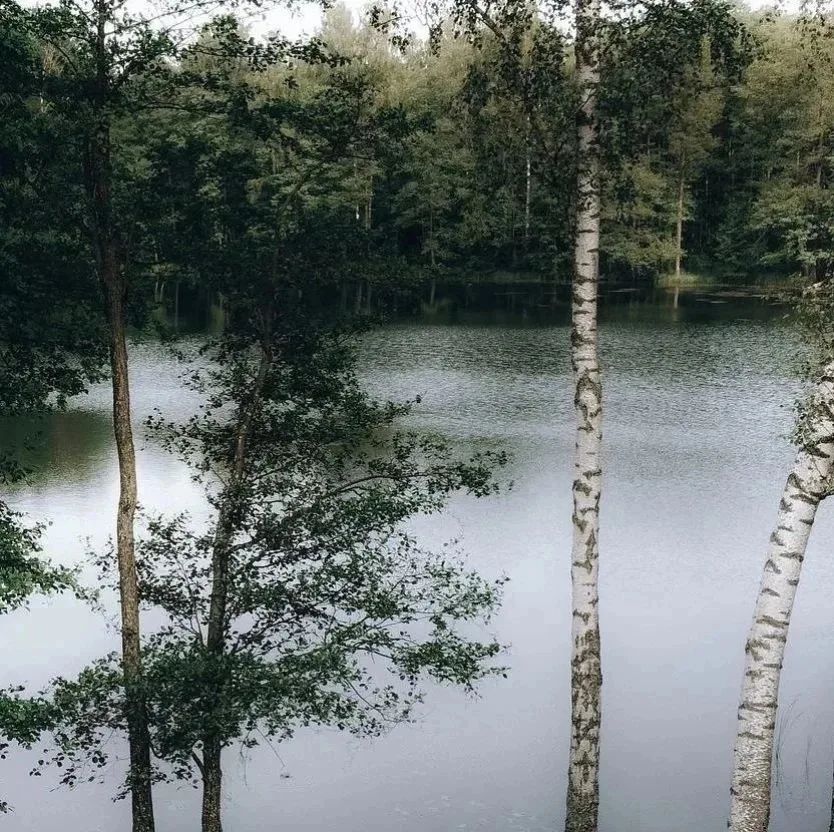 Посёлок Громово