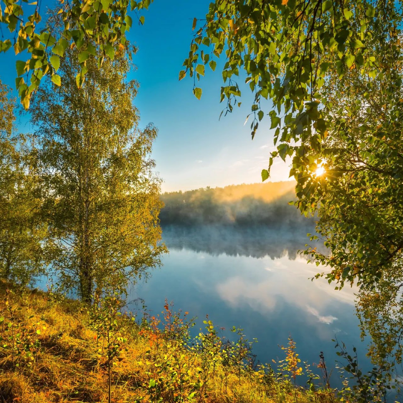 Река Шипуниха