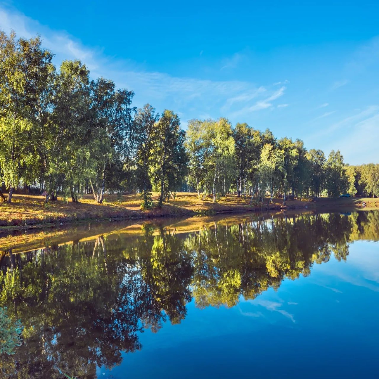 Река Шипуниха