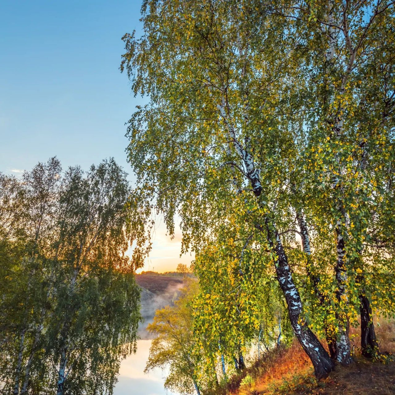 Река Шипуниха