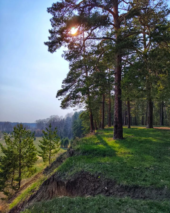 Алтайский край