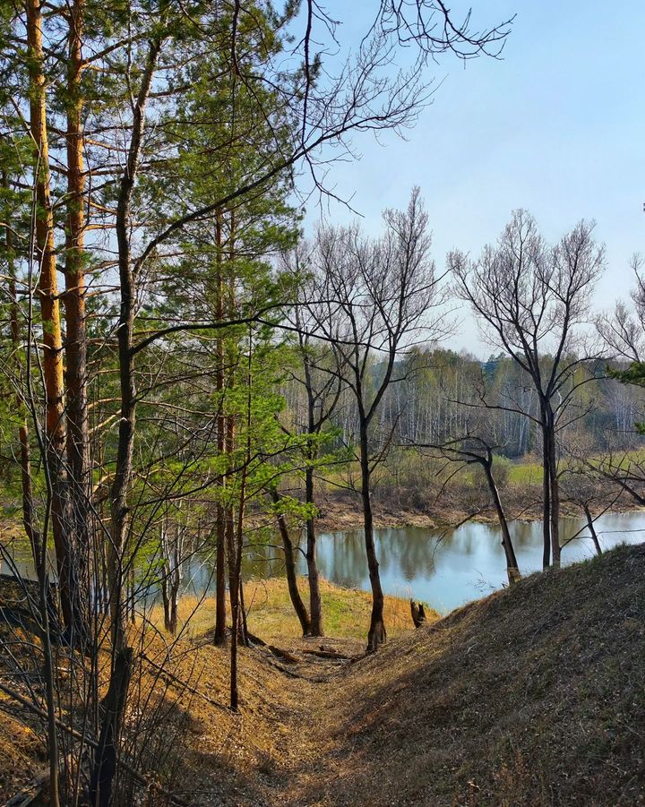 Алтайский край