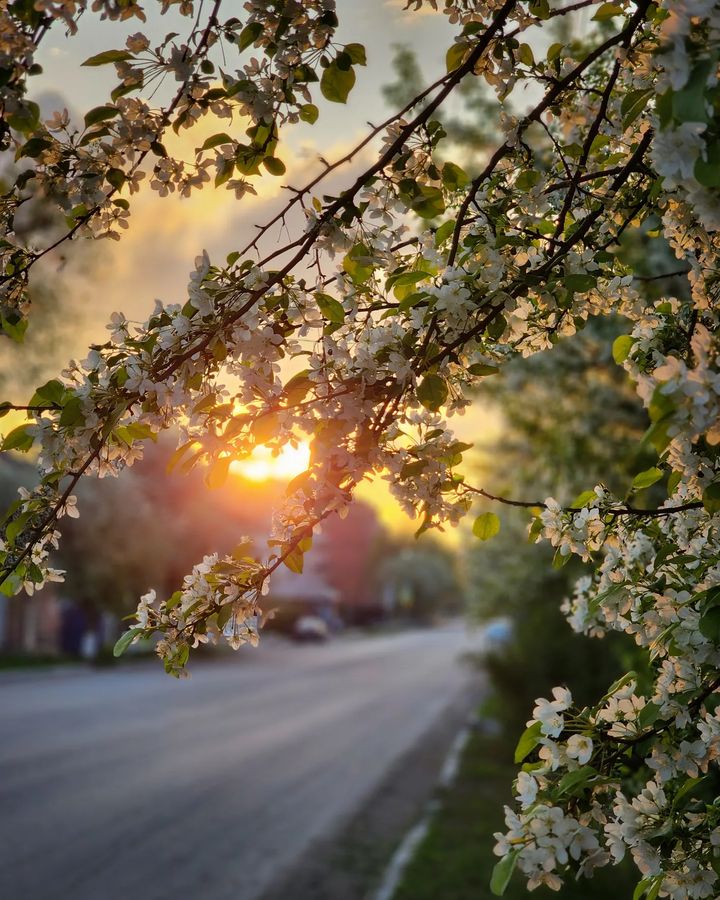 Улочки Красноуфимска