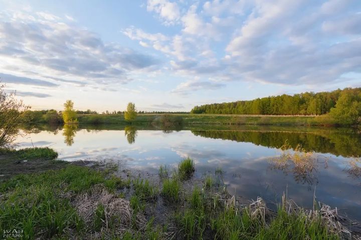 Золотые поля Тульской области