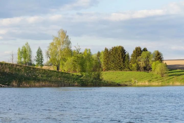 Золотые поля Тульской области