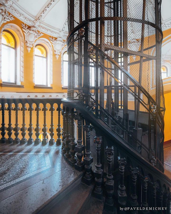 Парадная Ромашка
