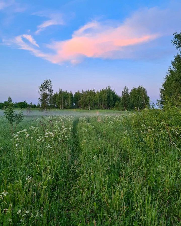 Ярославская область