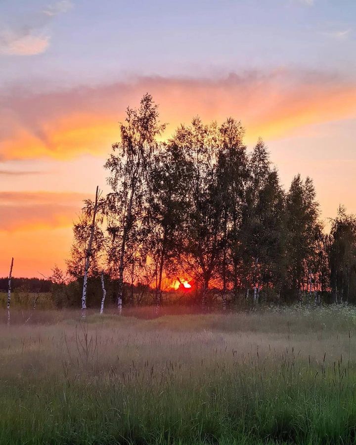 Ярославская область