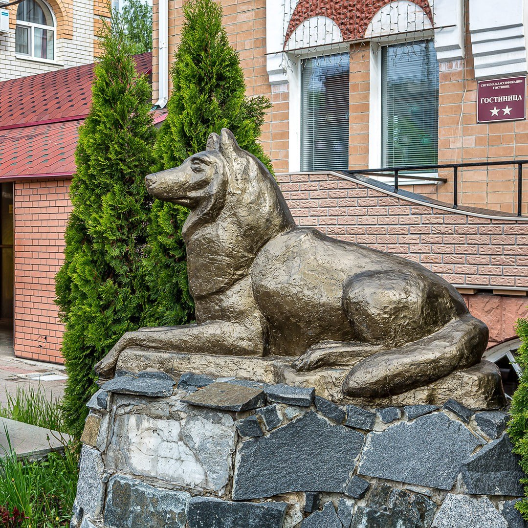 Тамбов, волки