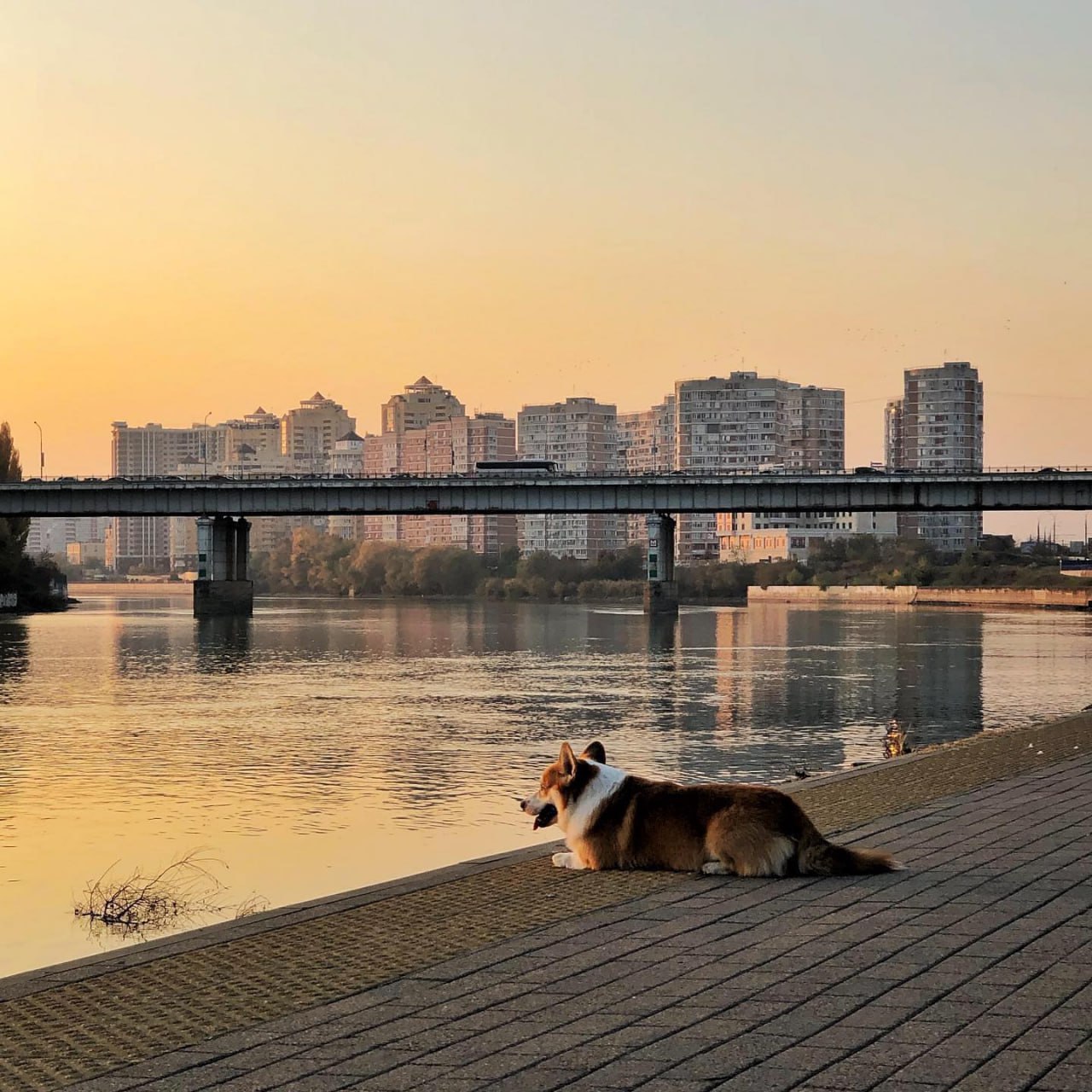 Прогулка по Краснодару