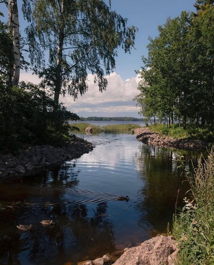 Парк Монрепо
