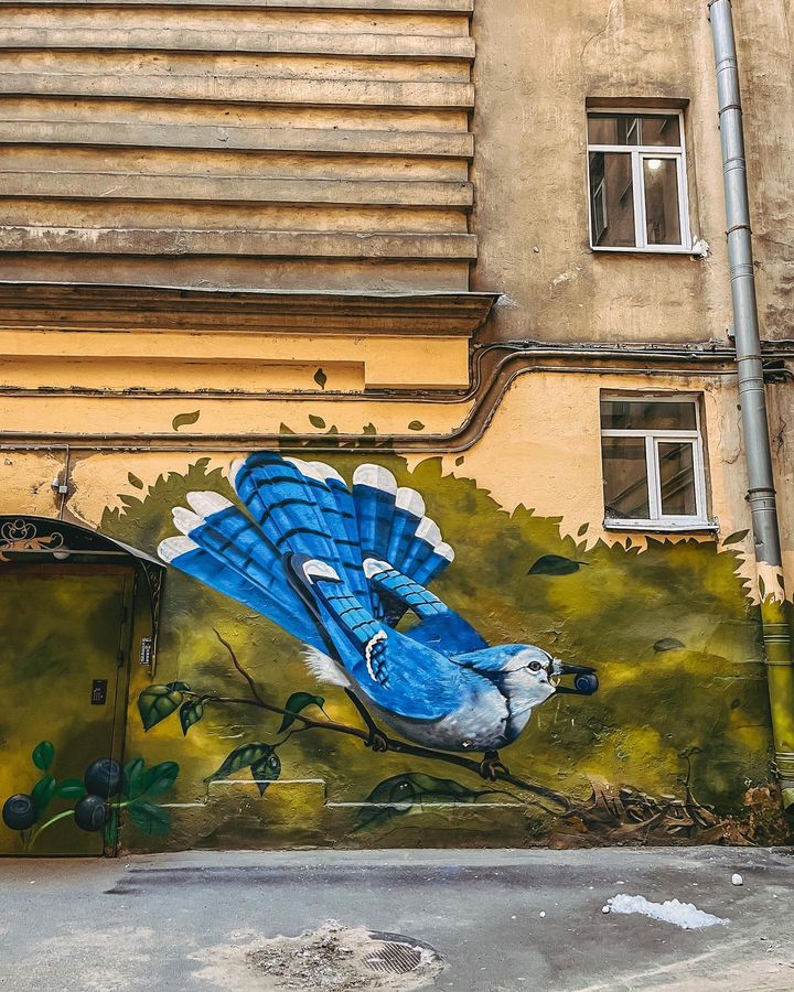 Двор-колодец в СПб