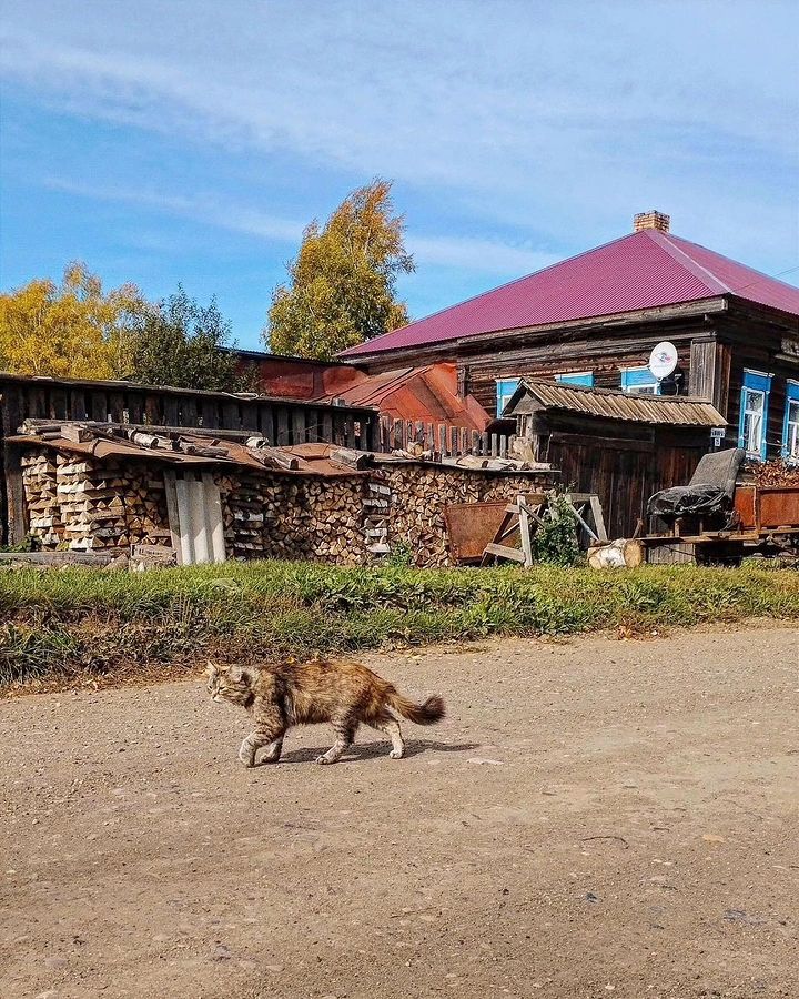 Город Чёрмоз