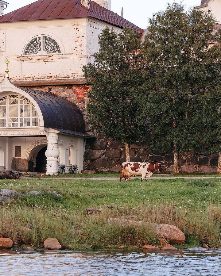 Соловки