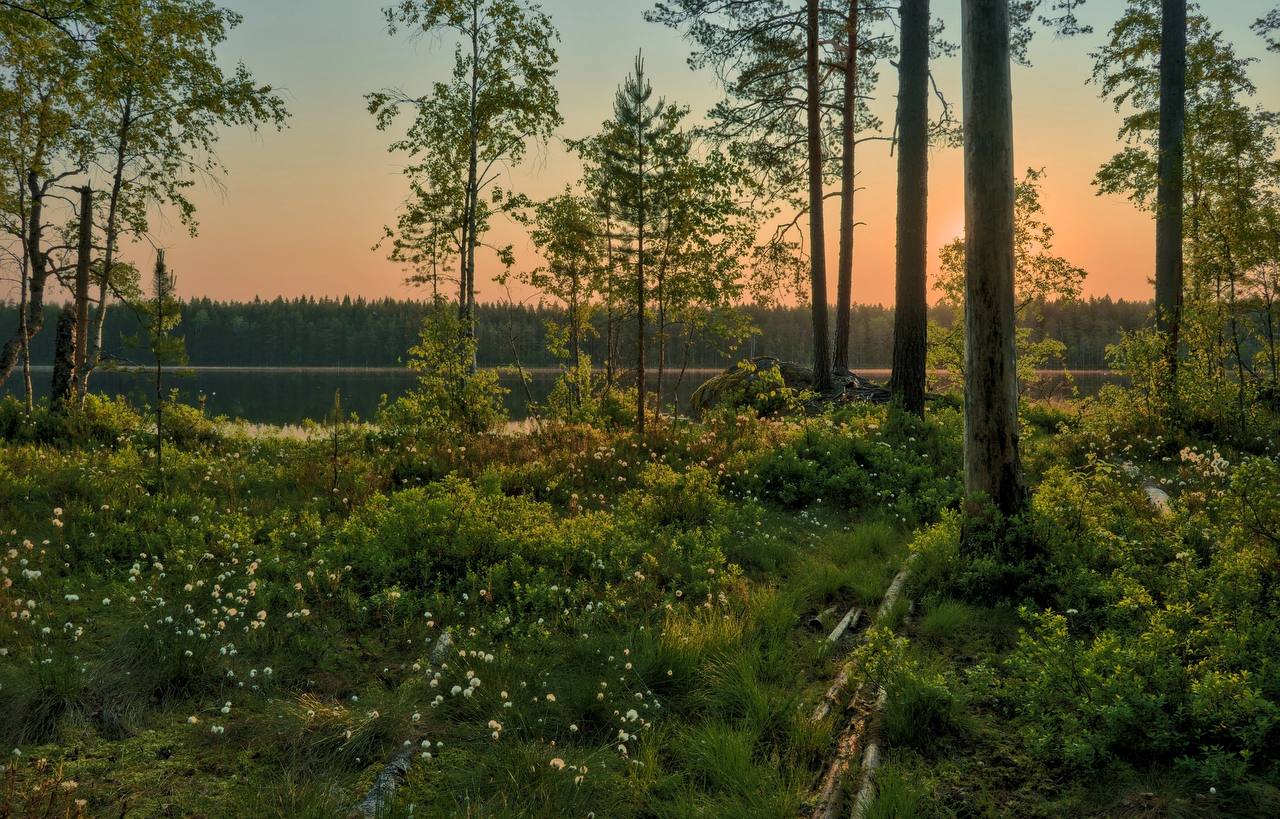 Озеро Невское