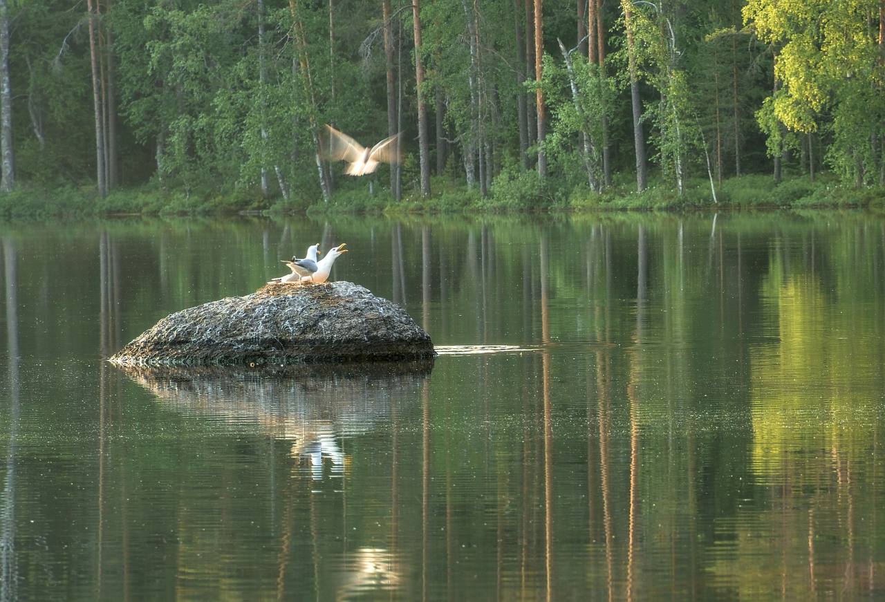 Озеро Невское