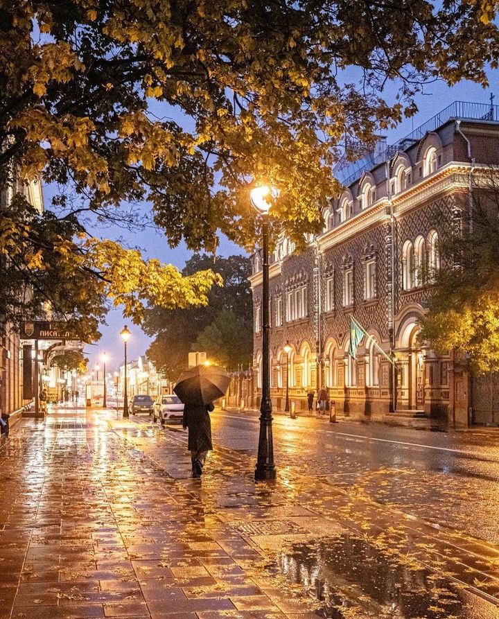 Большая Никитская улица