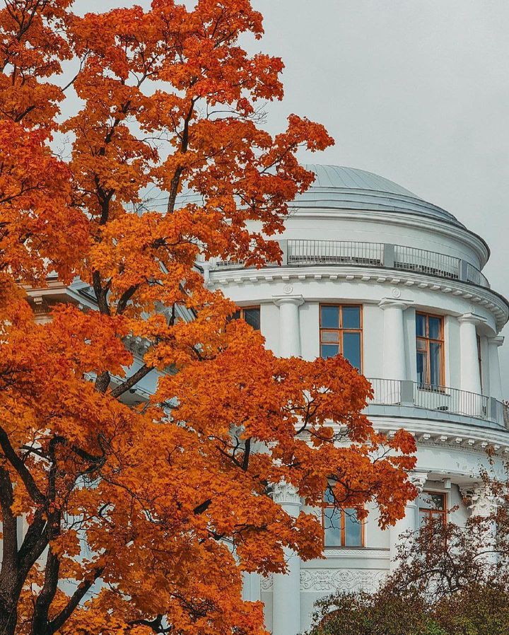Елагин остров