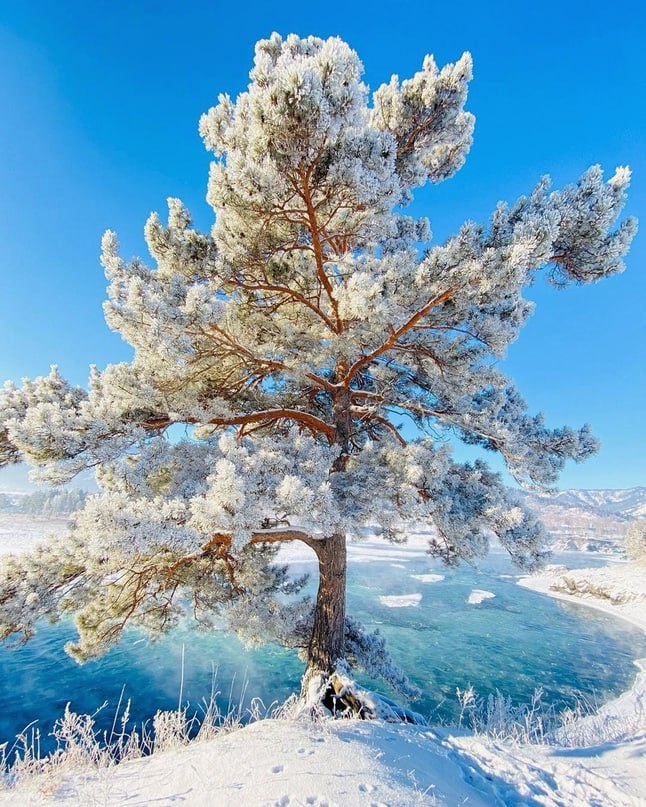 Река Катунь