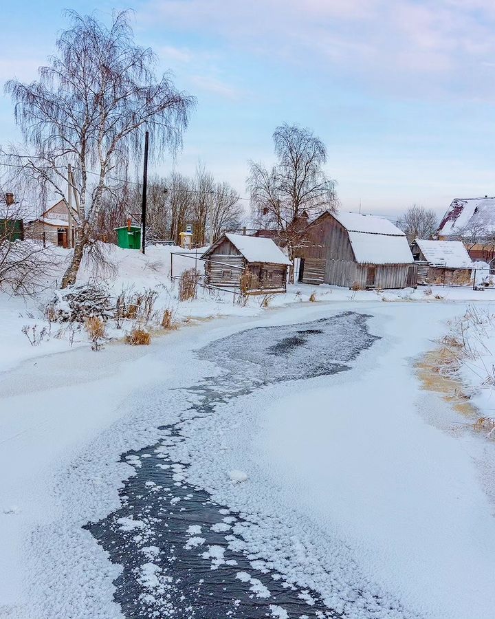 Деревня в Ленинградской области