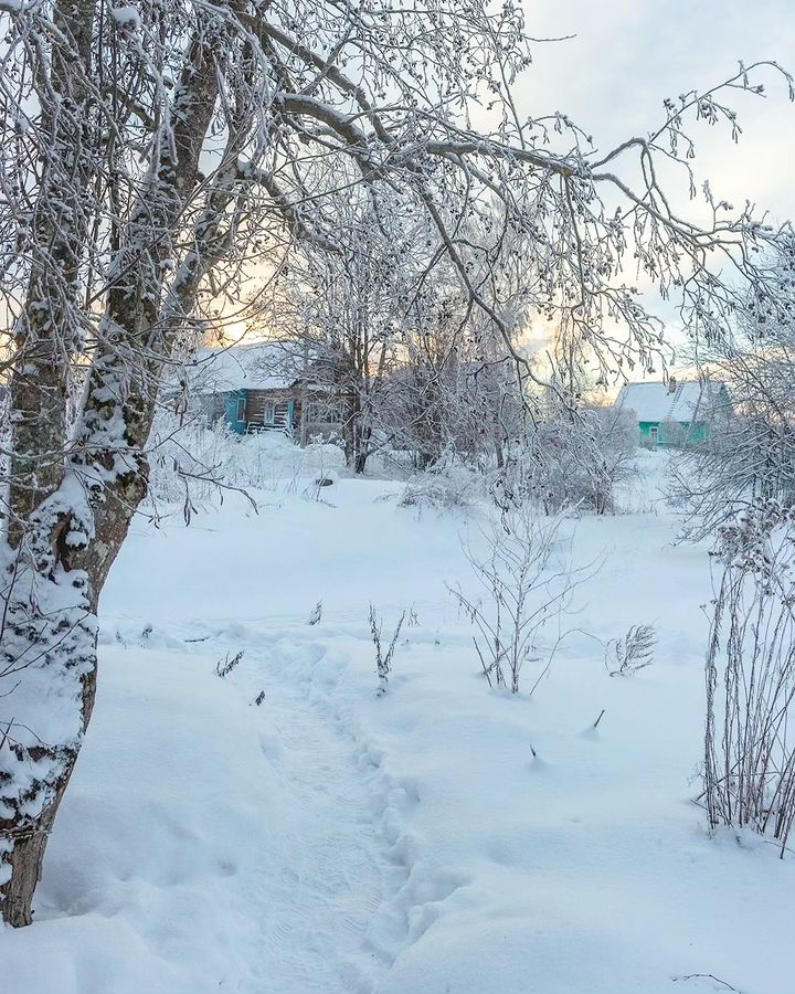 Деревня в Ленинградской области