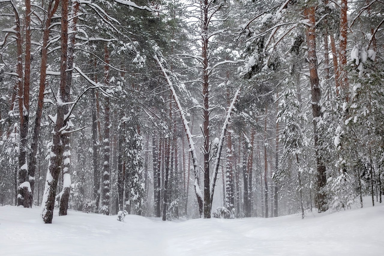 Село Солотча