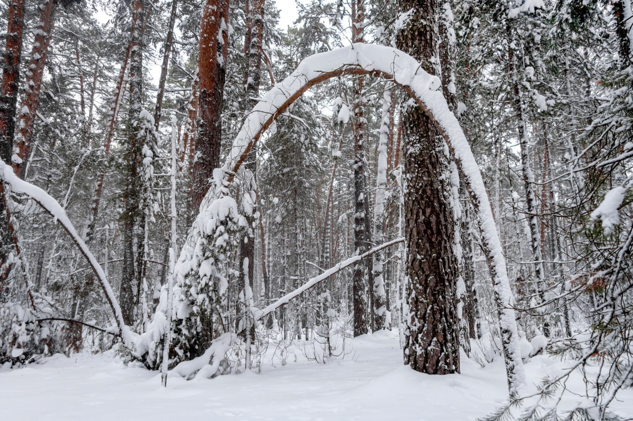 Село Солотча