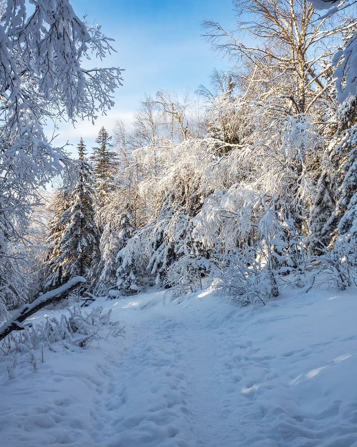 Гора Колпаки