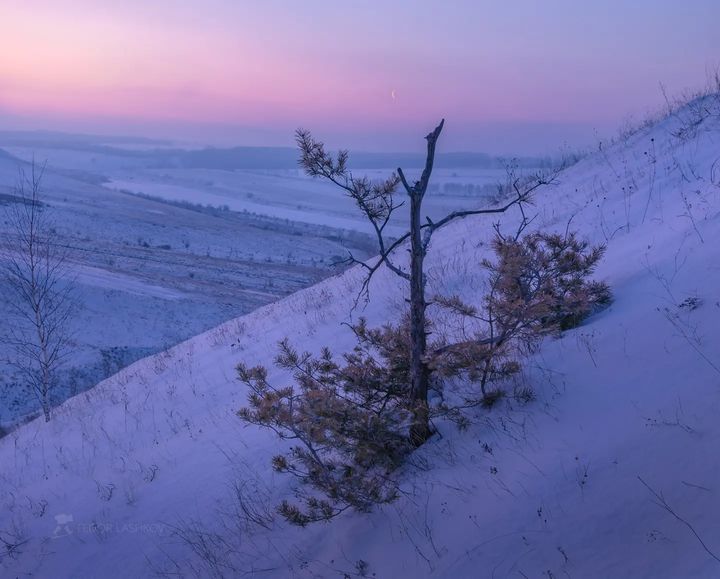 Заповедник Белогорье
