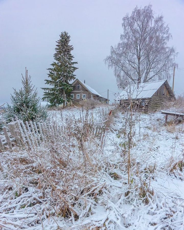 Вепсский лес и река Оять